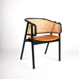 Siseistumise Toole